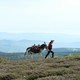 photo du film Antoinette dans les Cévennes