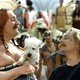 photo du film Astérix et Obélix : mission Cléopâtre