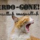 photo du film Kedi, des chats et des hommes