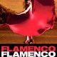 photo du film Flamenco, flamenco