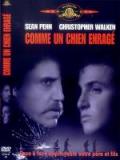 voir la fiche complète du film : Comme un chien enragé
