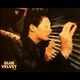photo du film Blue Velvet