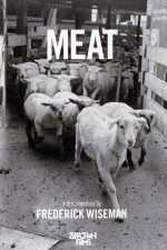 voir la fiche complète du film : Meat
