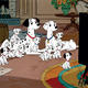 photo du film Les 101 Dalmatiens