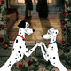 photo du film Les 101 Dalmatiens