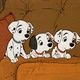 photo du film Les 101 Dalmatiens