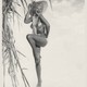 photo de Barbara Nichols