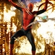 photo du film Spider-Man