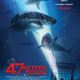 photo du film 47 Meters Down