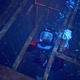 photo du film 47 Meters Down