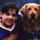 photo du film Air Bud