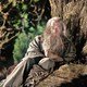 photo du film Le Hobbit : un voyage inattendu