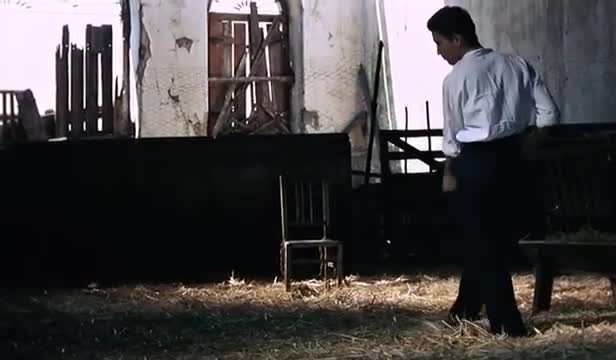 Extrait vidéo du film  Le Roi des roses