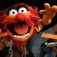 photo du film Les Muppets, le retour