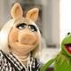 photo du film Les Muppets, le retour