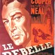 photo du film Le Rebelle