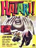voir la fiche complète du film : Hatari !