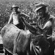 photo du film Le Trésor de la Sierra Madre