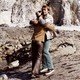 photo du film Que la bête meure