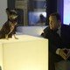 photo du film Zookeeper