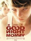 voir la fiche complète du film : Goodnight Mommy