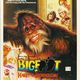 photo du film Bigfoot et les Henderson