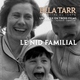 photo du film Le Nid familial