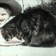 photo du film Dejeuner du chat