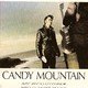 photo du film Candy mountain