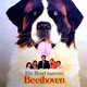 photo du film Beethoven