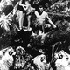 photo du film Tarzan trouve un fils