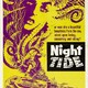 photo du film Marée nocturne