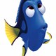 photo du film Le Monde de Nemo