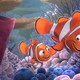 photo du film Le Monde de Nemo