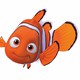 photo du film Le Monde de Nemo