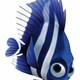photo du film Le Monde de Nemo