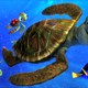 photo du film Le Monde de Nemo