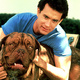 photo du film Turner & Hooch