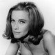 photo de Honor Blackman