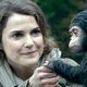 photo du film La Planète des singes : l'affrontement