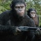 photo du film La Planète des singes : l'affrontement