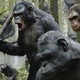 photo du film La Planète des singes : l'affrontement