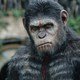 photo du film La Planète des singes : l'affrontement