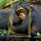 photo du film Chimpanzés