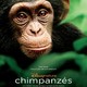 photo du film Chimpanzés