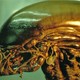 photo du film Alien 3