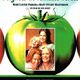 photo du film Beignets de tomates vertes