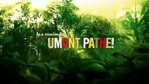 Un extrait du film  Sur la piste du marsupilami