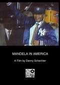 voir la fiche complète du film : Mandela in America