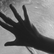 photo du film L'homme n'est pas un oiseau